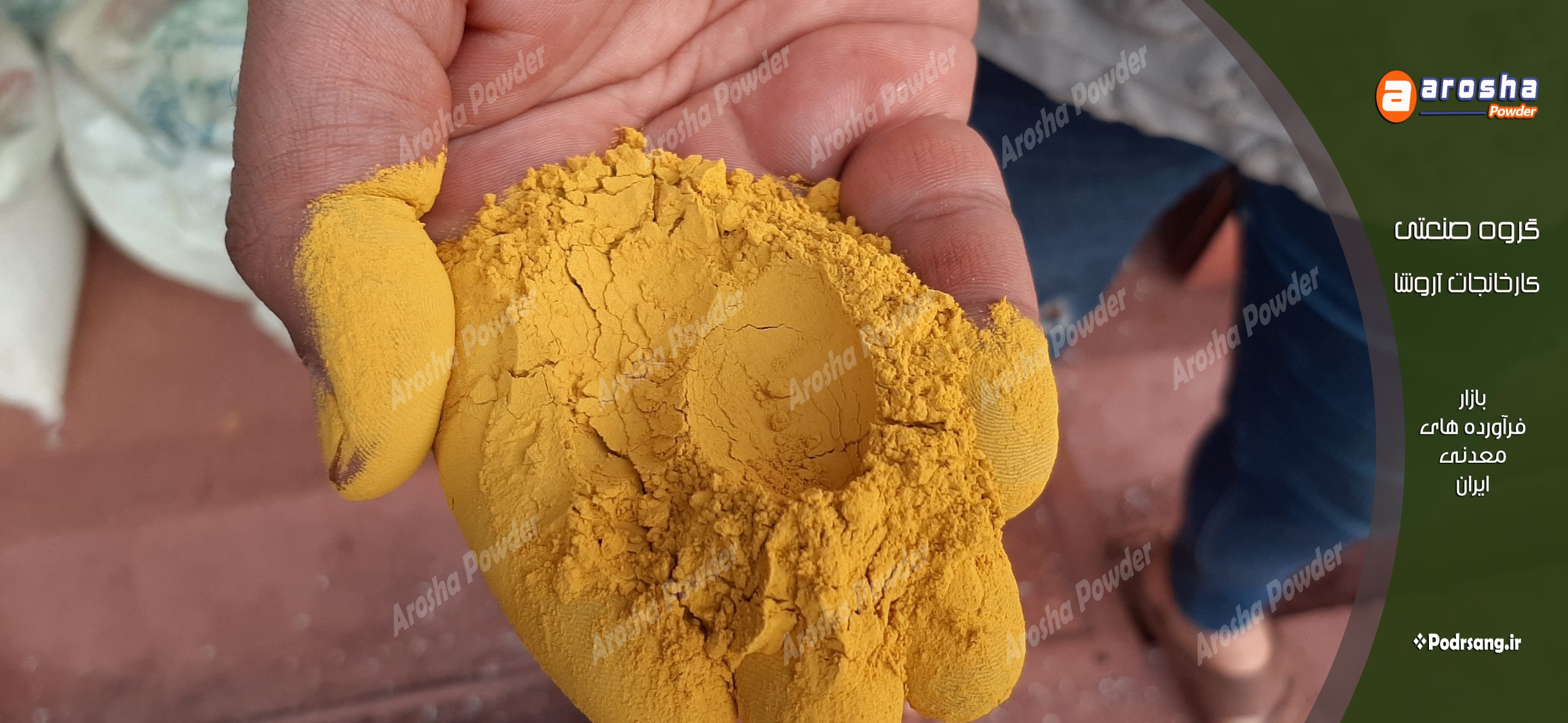 فروش ویژه گل ماش رنگ زرد